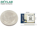 SKYLAB support AP Webcam Micro Wifi Wireless Esp8266-12F Esp-07 mesh network remote control chipset iot uart wifi module